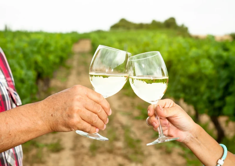 Privatna tura Dubrovnikom Povijesni razgled i degustacija vina