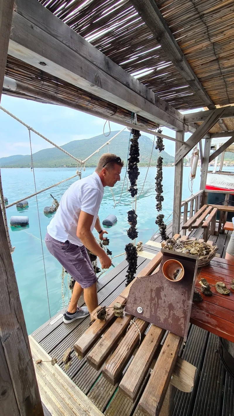 Peljesac and Ston Wine & Oyster Tasting