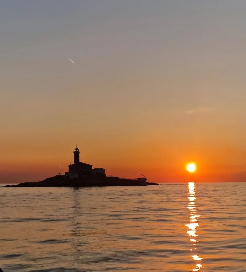 Rovinj Shared Dolphin and Sunset Tour with Drinks
