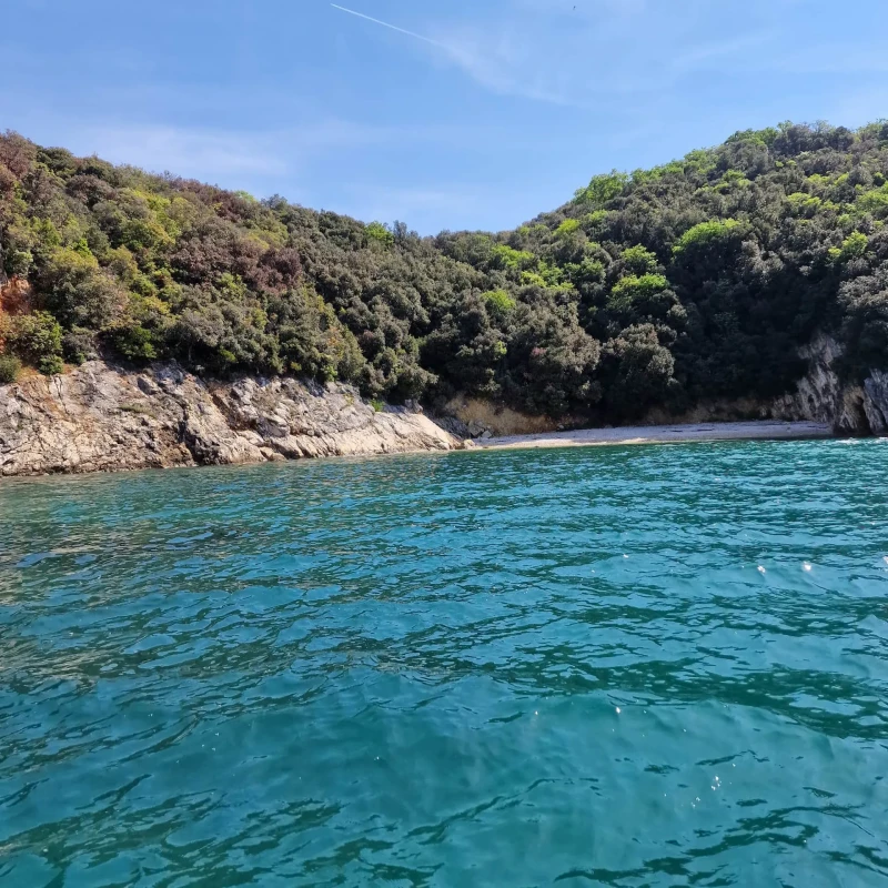 Rovinj islands, Limski fjord, shellfish tasting (optional)