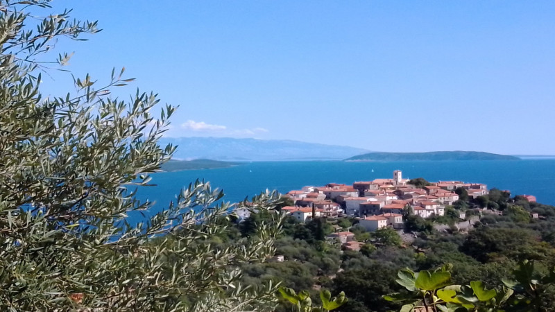 From Cres: Visit to Beli and Griffon Vulture Rescue Center