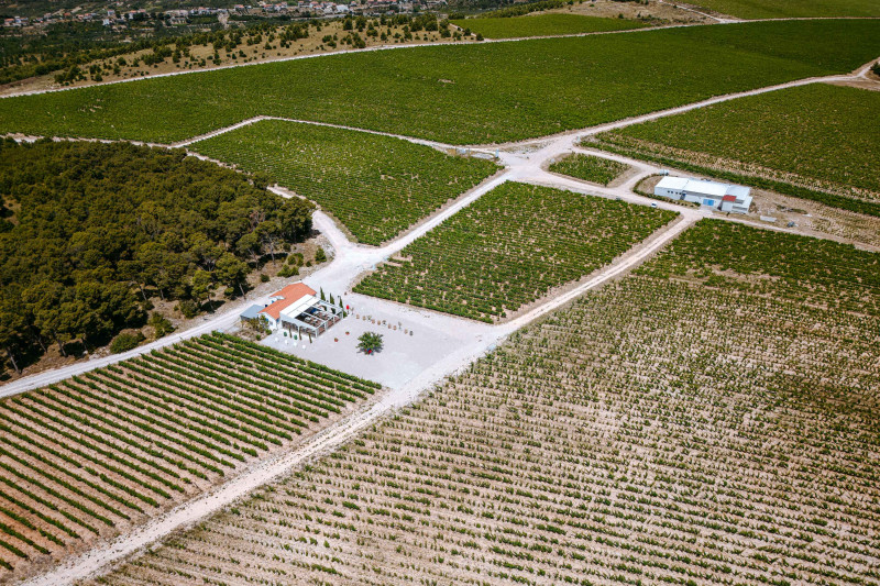 Degustacija vina: Ples sunca i kamena