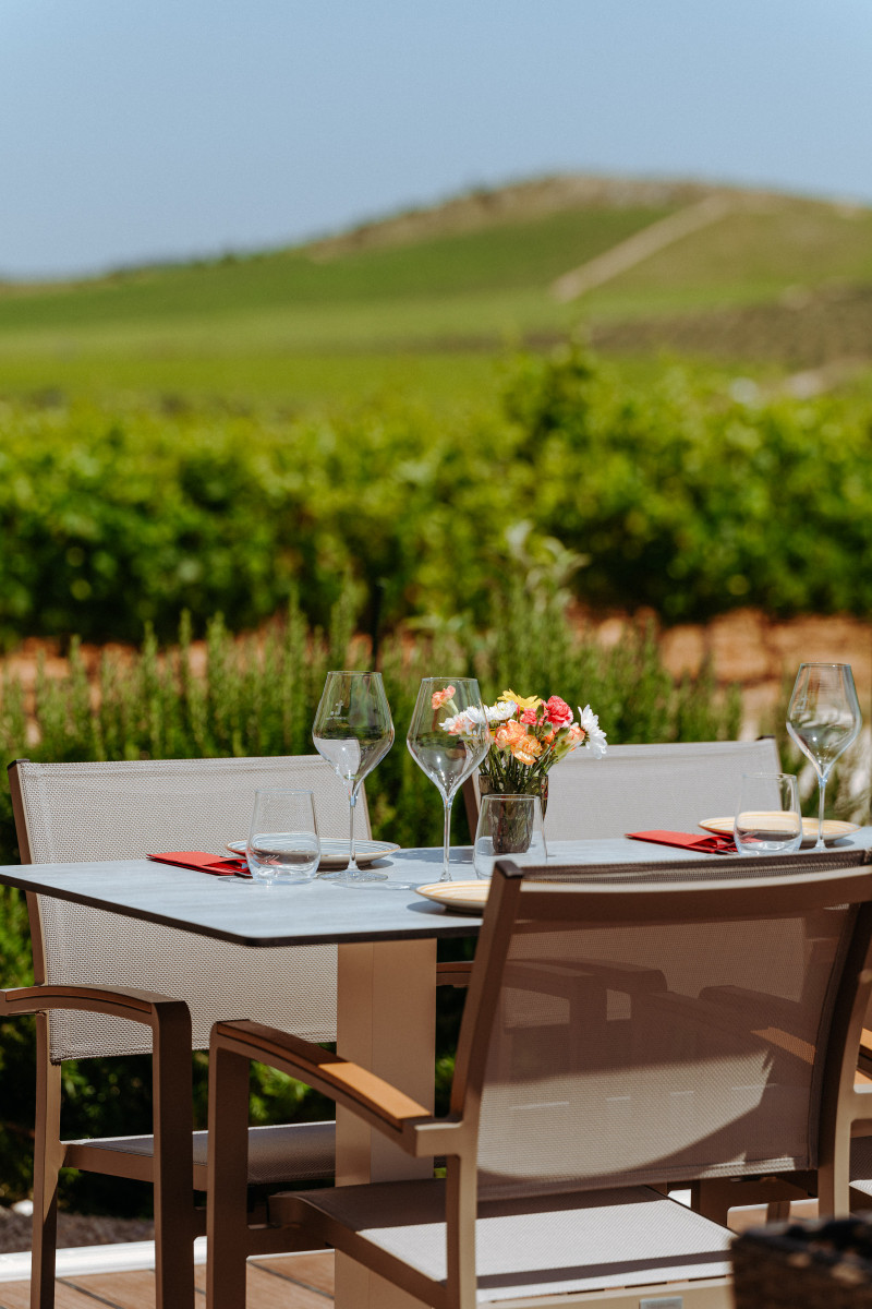 Degustacija vina: Ples sunca i kamena