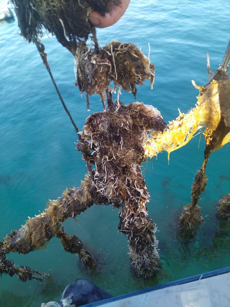 Mali Ston Bay: Boat Trip and Oyster Tasting