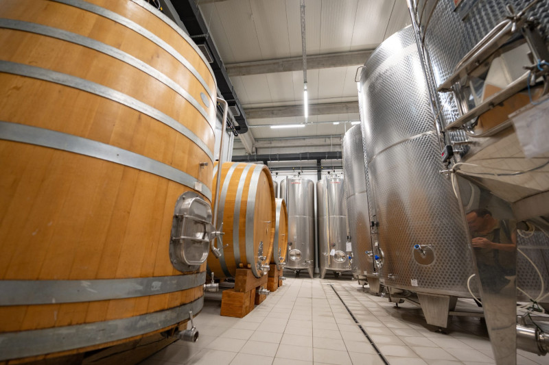 Jokić Winery; Lišane Tinjske; Visit and wine tasting at the winery