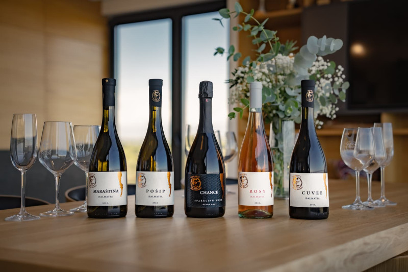 Jokić Winery; Lišane Tinjske; Visit and wine tasting at the winery